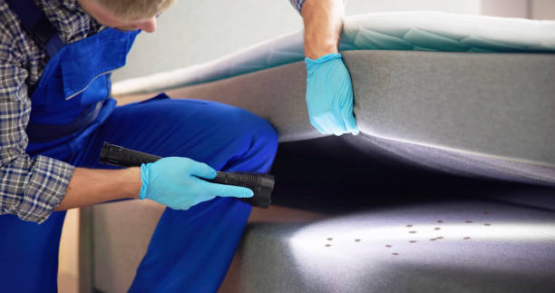 Best Pest Inspection Near Me  in Estill Springs, TN