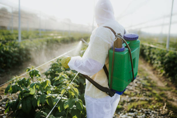 Best Pest Prevention Services  in Estill Springs, TN